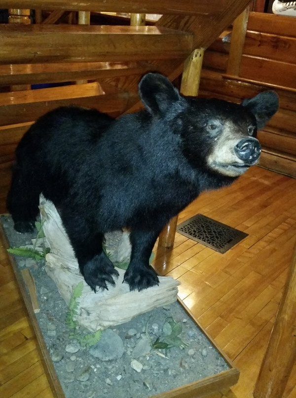 Unity Sky Lodge主图