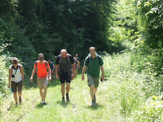 InLanga Tours-阿尔巴必去景点