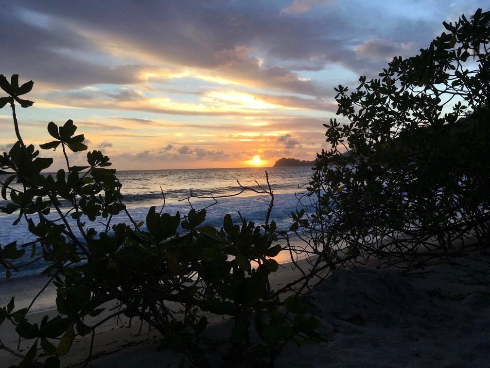 Baie Lazare Beach景点图片