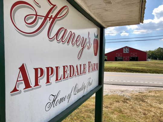 Haney's Appledale Farm-Nancy必去景点