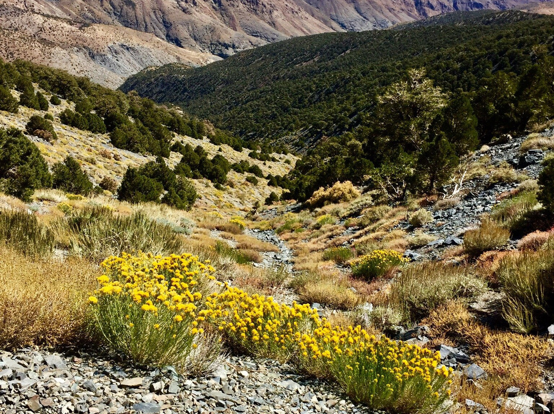Telescope Peak trail-死亡谷国家公园必去景点