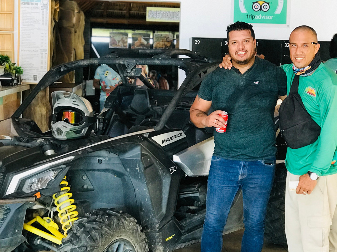 Cactus Tours-卡波圣卢卡斯必去景点