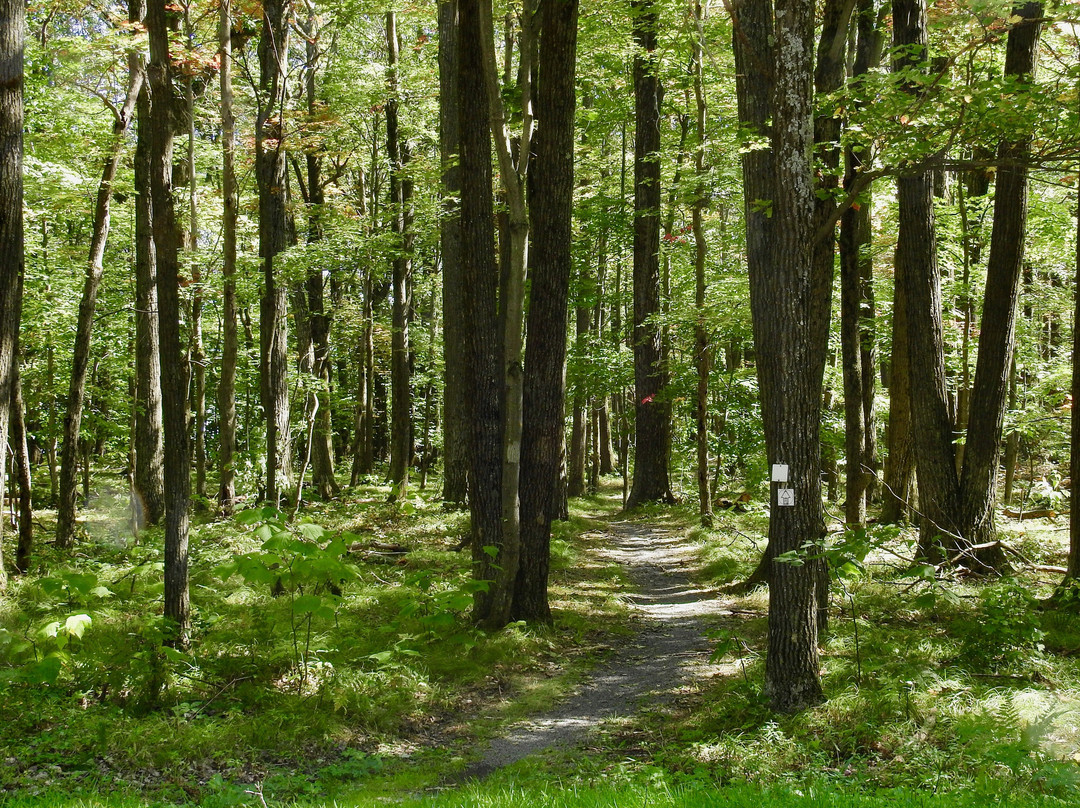 Ontario County Park at  Gannett Hill景点图片