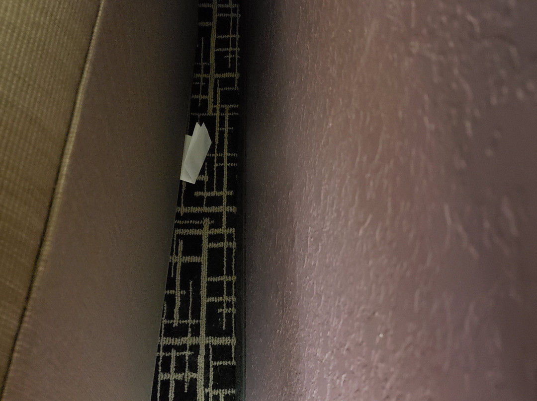 La Quinta Inn & Suites by Wyndham Bowling Green主图