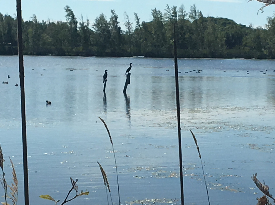 Sackville Waterfowl Park景点图片
