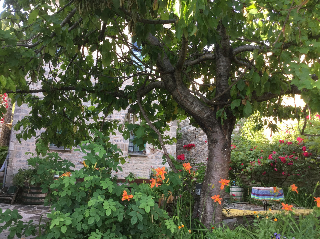 Morfeas Guesthouse主图