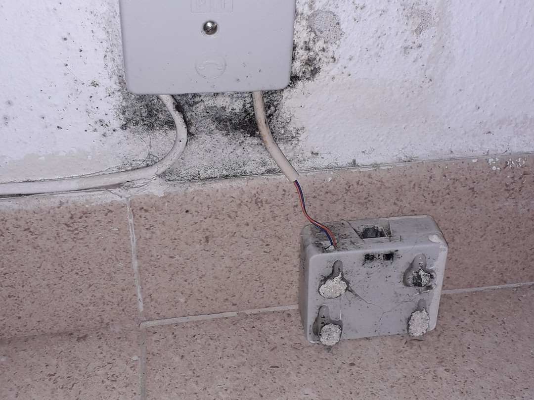 Rentify BCN-巴塞罗那必去景点