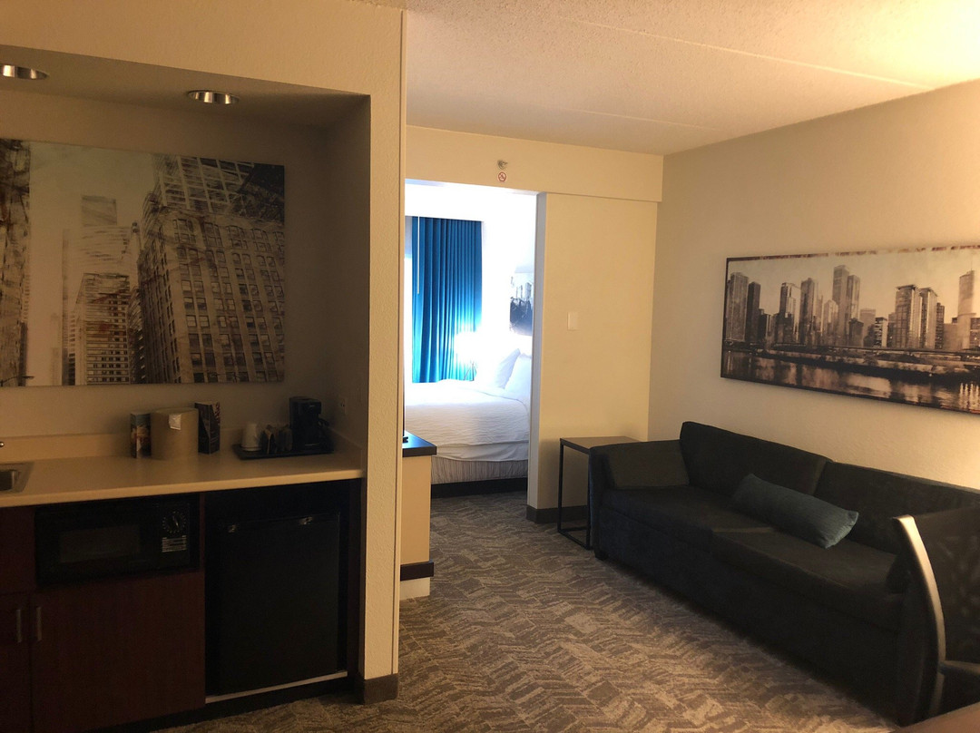 SpringHill Suites by Marriott Chicago Lincolnshire主图