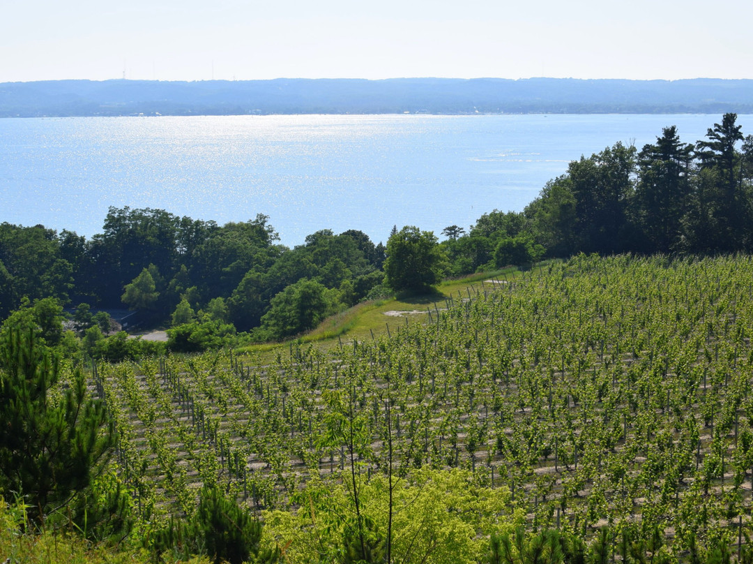 Black Star Farms Old Mission Winery-特拉弗斯城必去景点