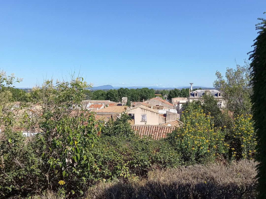 Herault旅游景点-Jardin De La Motte