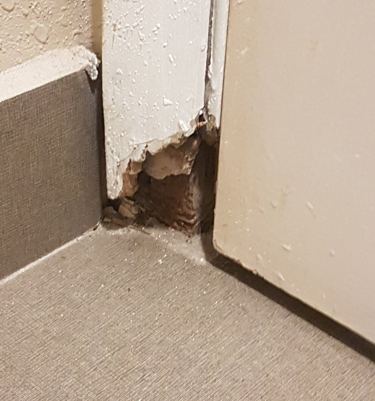 Super 8 by Wyndham Asheville/Biltmore主图