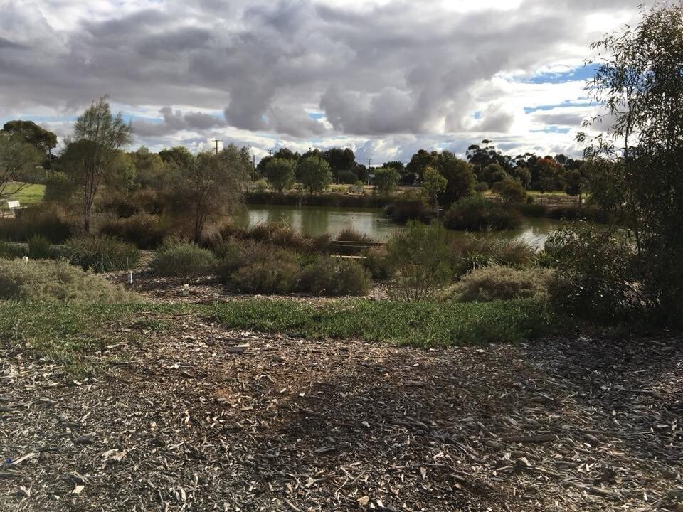 Pinnaroo Wetlands-Pinnaroo必去景点