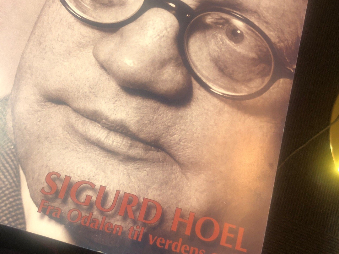 Milepelen Hotell & Vertshus主图