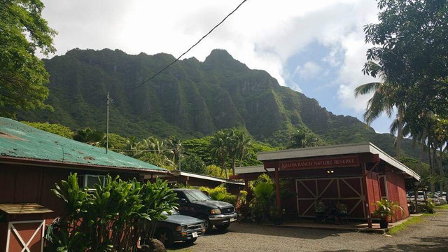 Oahu Circle Island Snorkeling & Tours-瓦胡岛必去景点