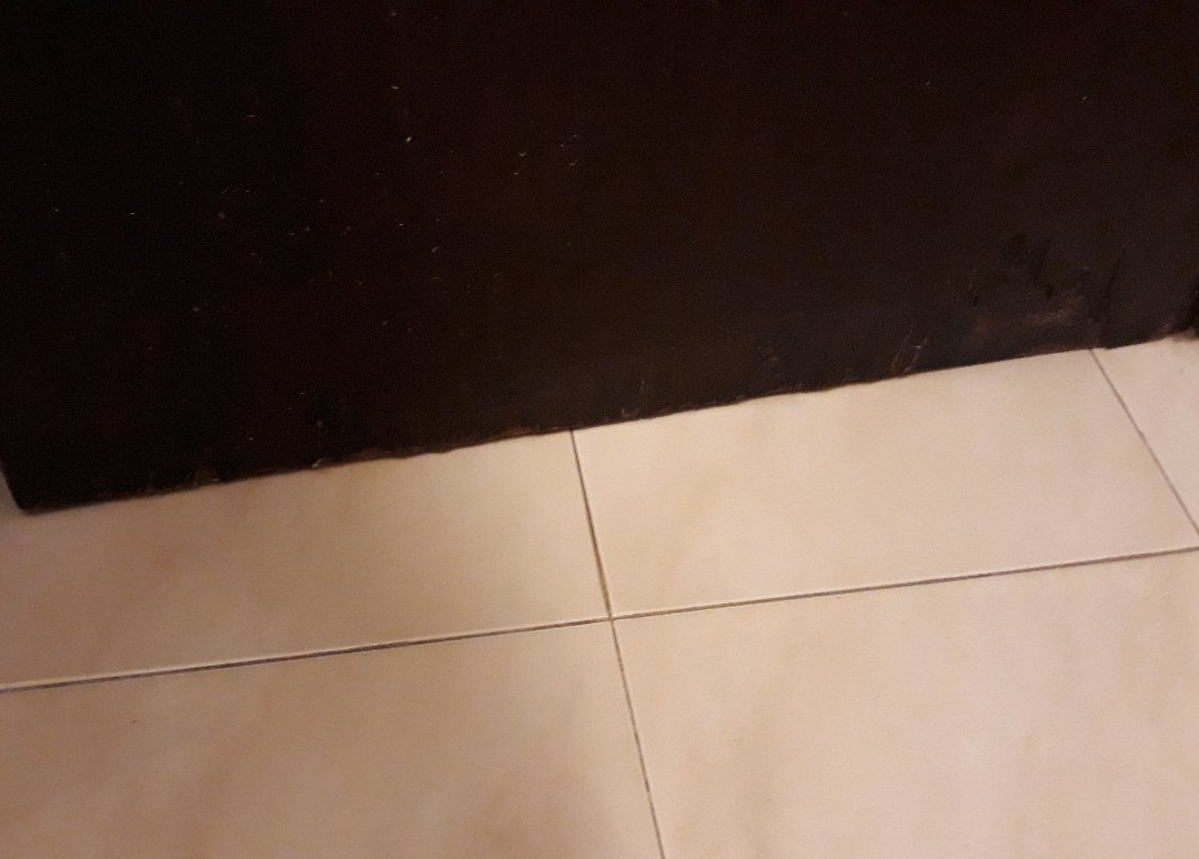 Barracuda Aparthotel主图