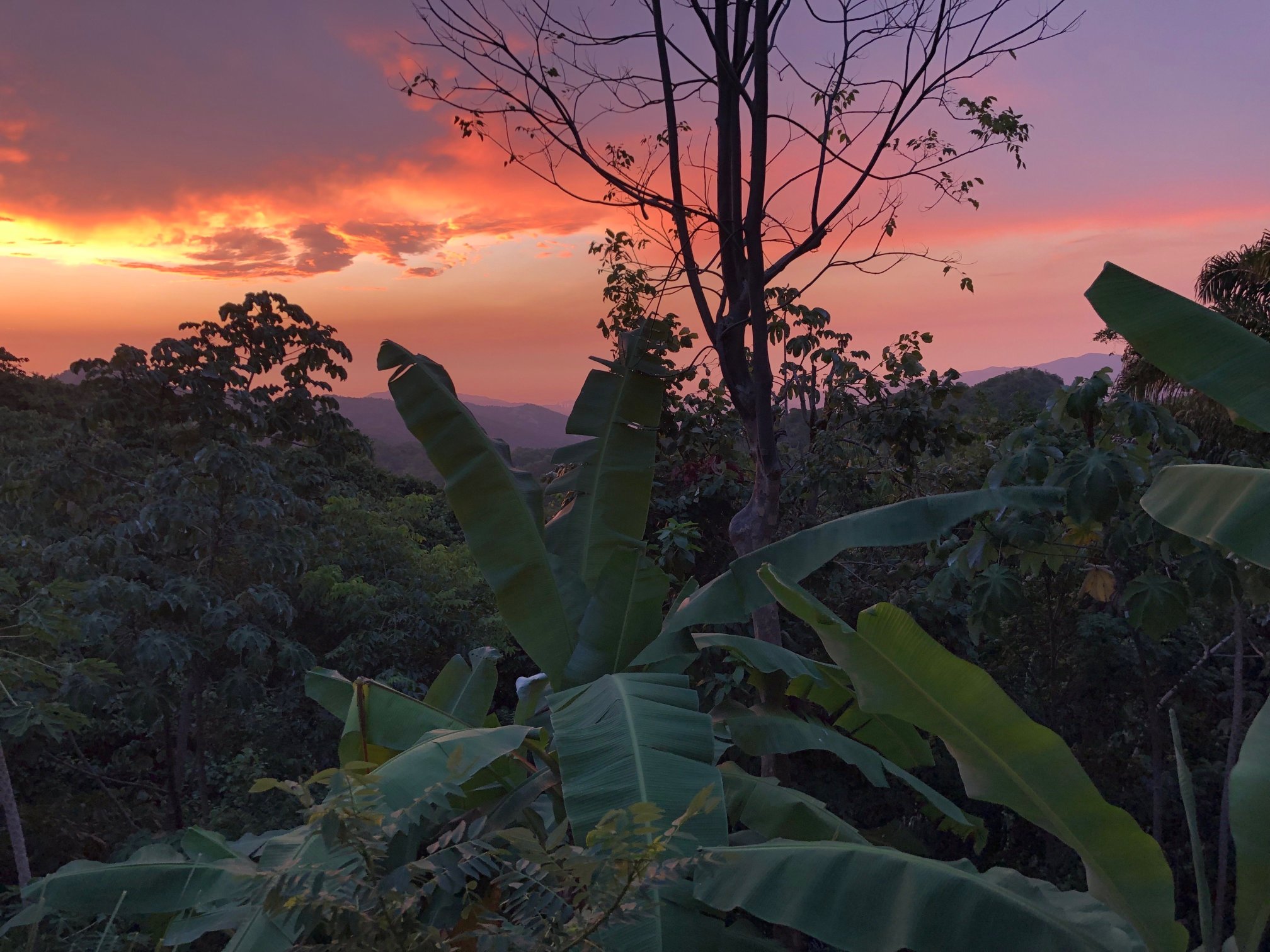 Sol De Minca Reserva Natural-酒店景观