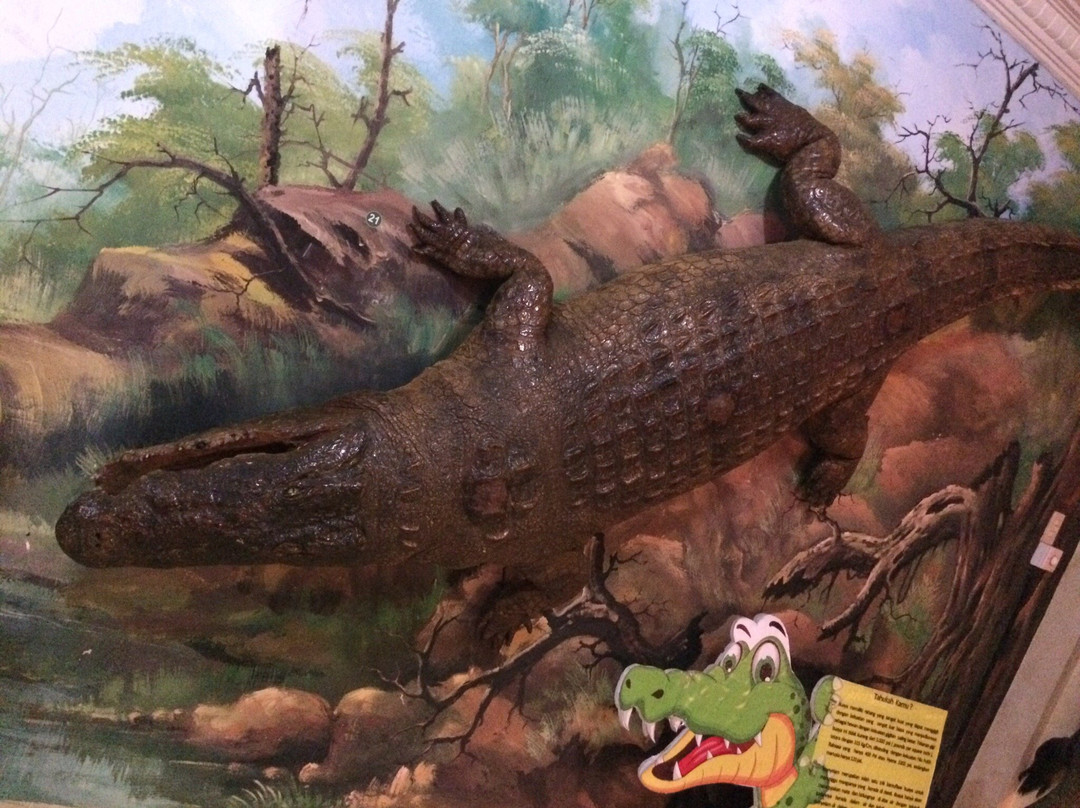 Rahmat International Wildlife Museum & Gallery-棉兰必去景点