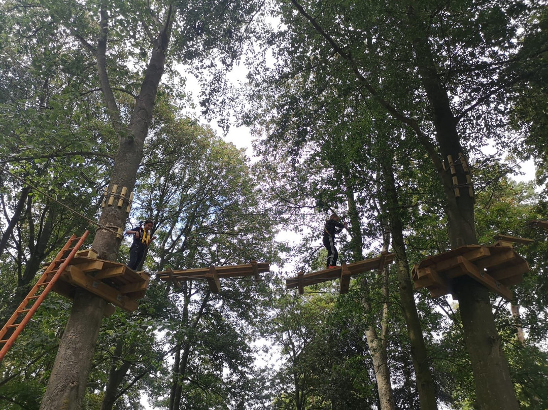 Holkham Ropes Course-Holkham必去景点