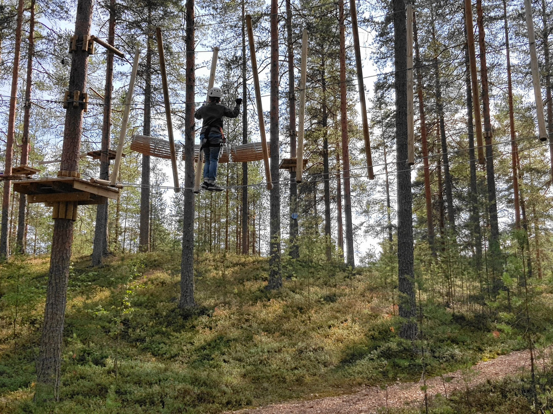 Vuokatti Adventure Park-Vuokatti必去景点