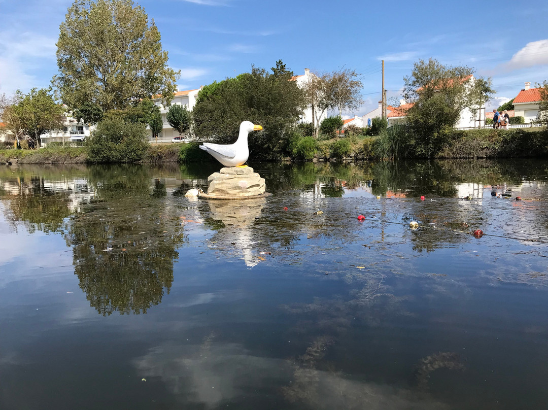 Les Canoës du Marais景点图片