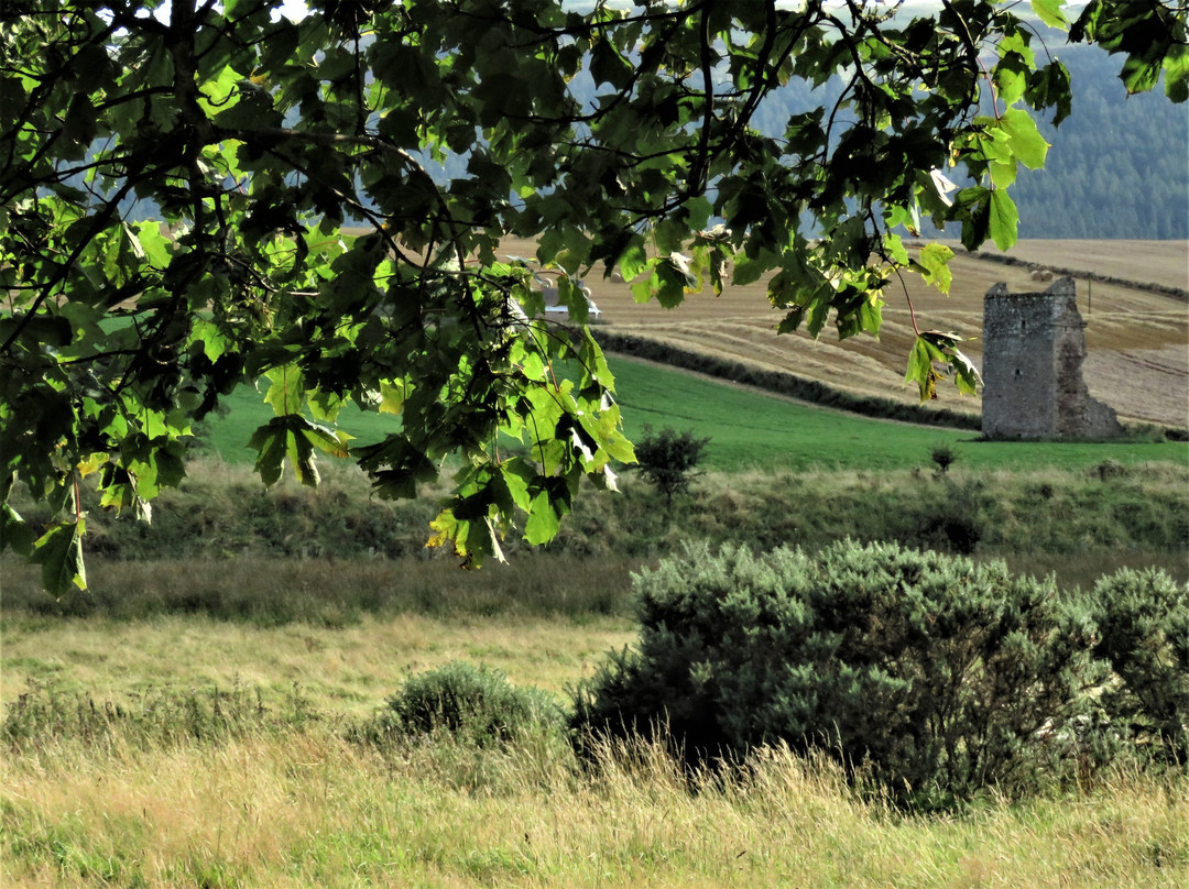 Corston Tower景点图片