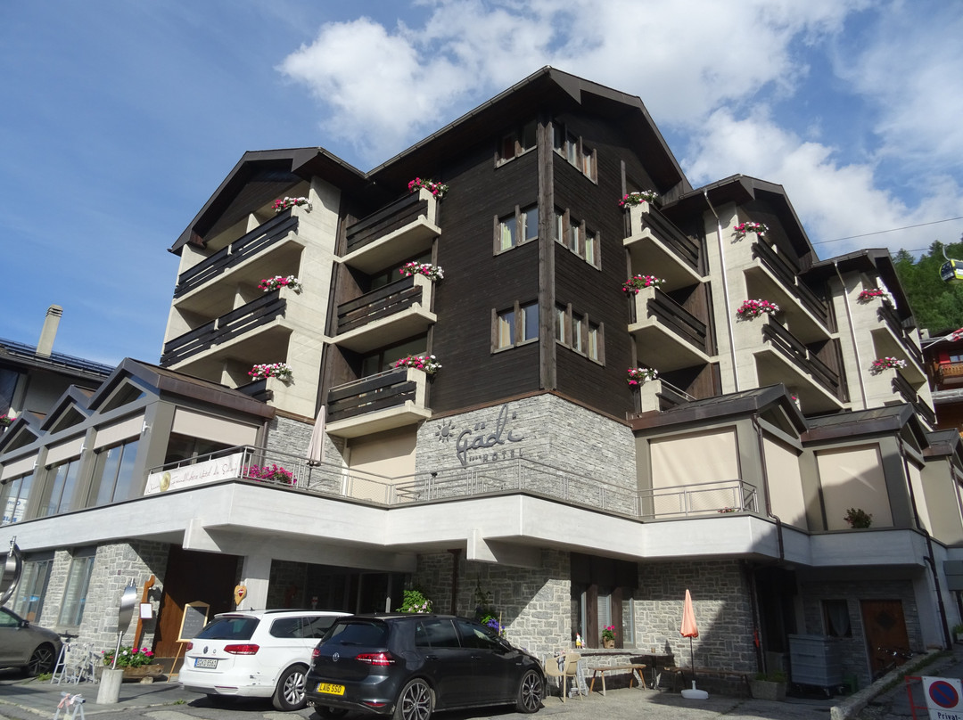 Hotel Gadi主图