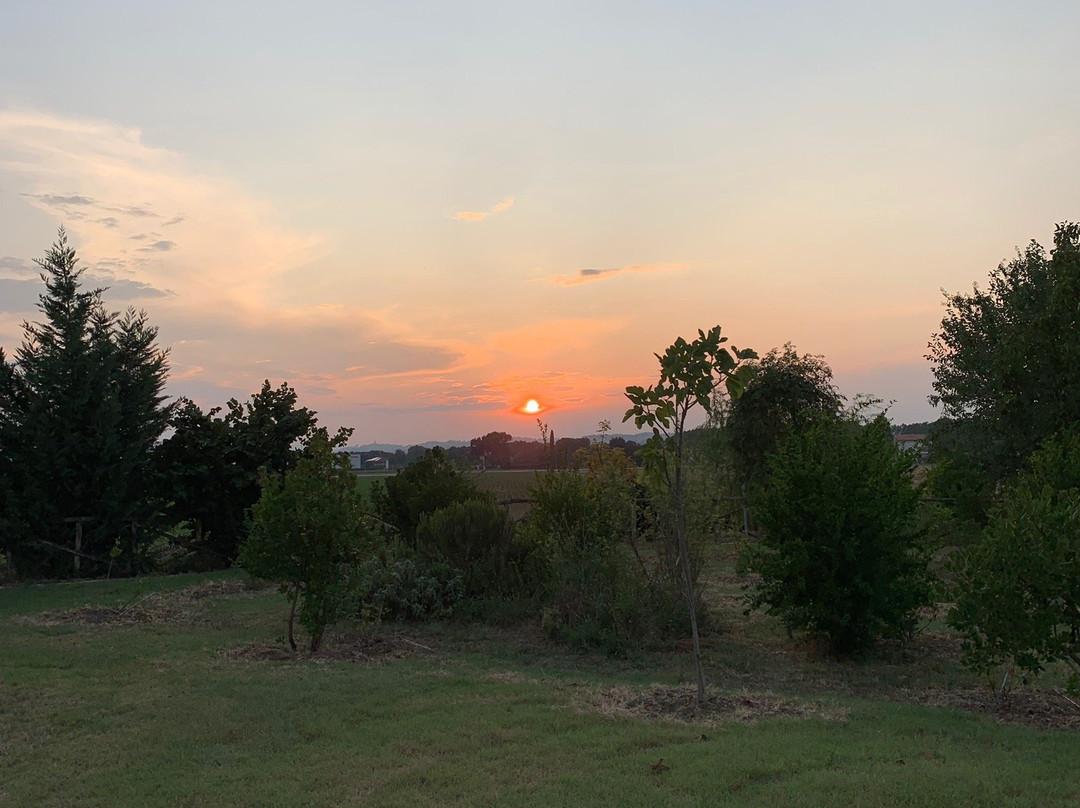 Agriturismo Bassarì主图