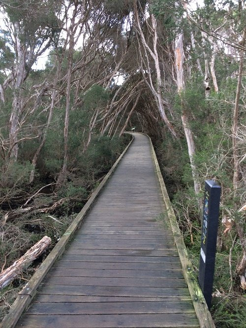 Balcombe Estuary Reserves景点图片
