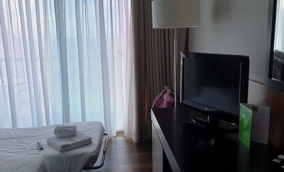 INATEL Flores Hotel主图