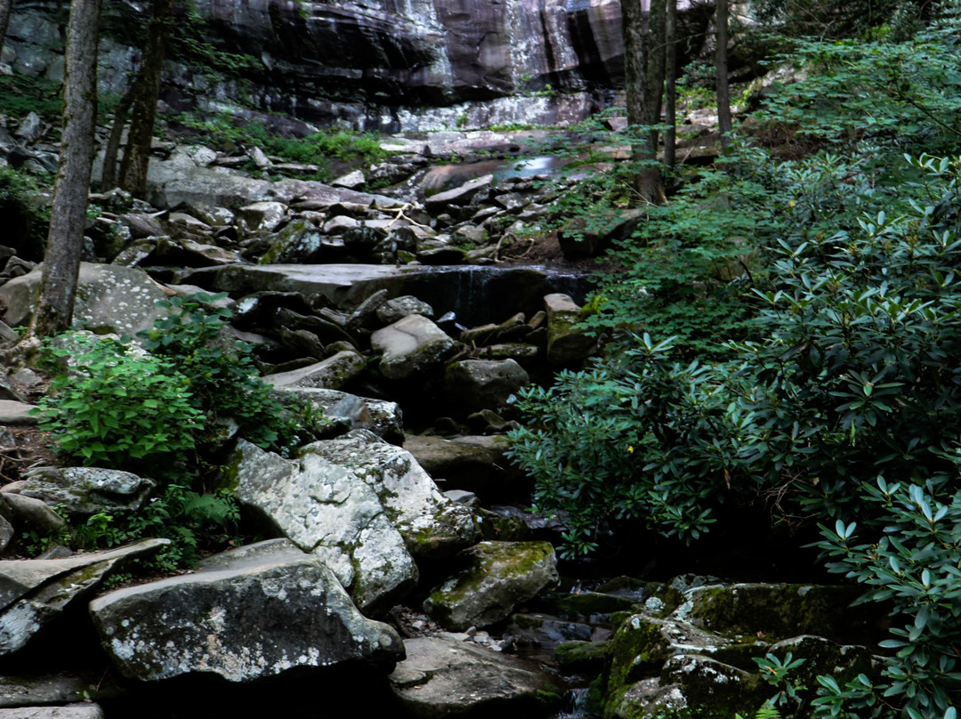 Rainbow Falls Trail-大雾山国家公园必去景点
