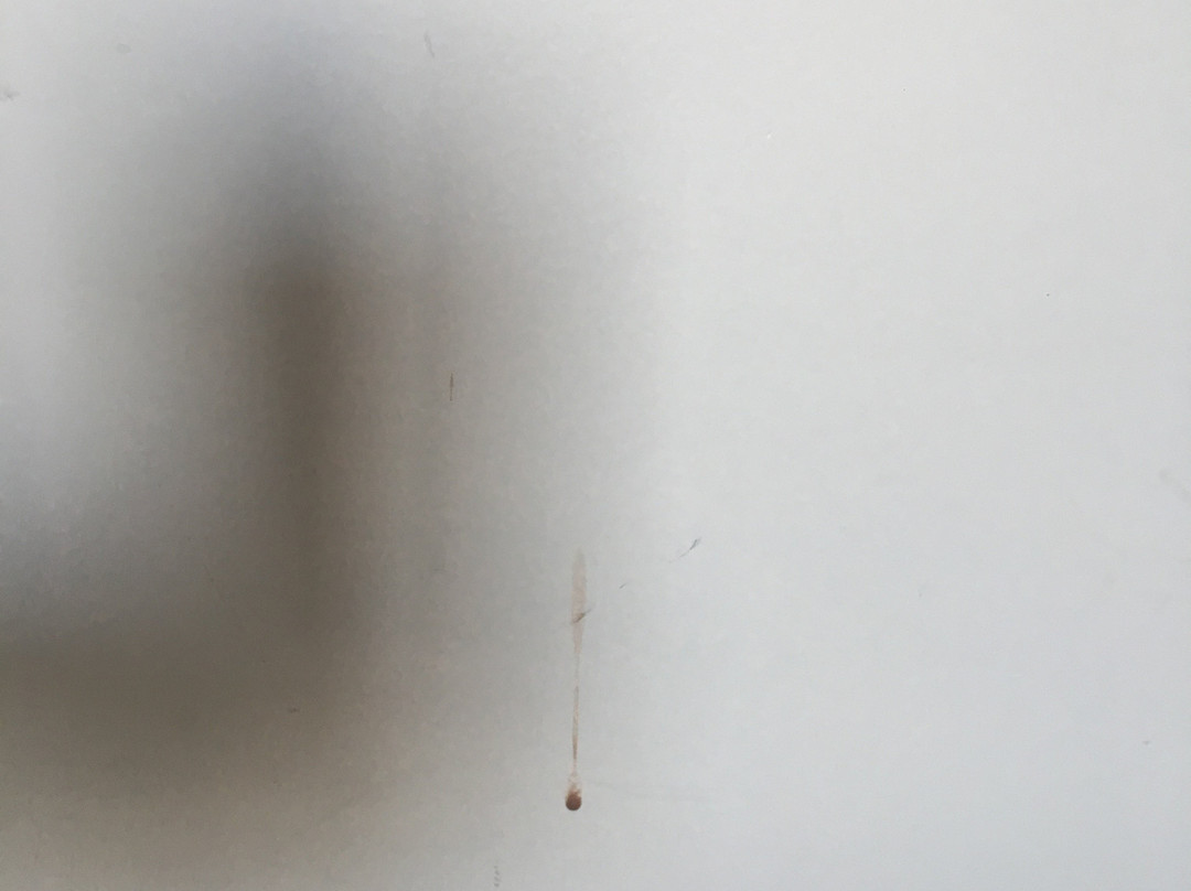 Golden Dolphin Grand Hotel主图