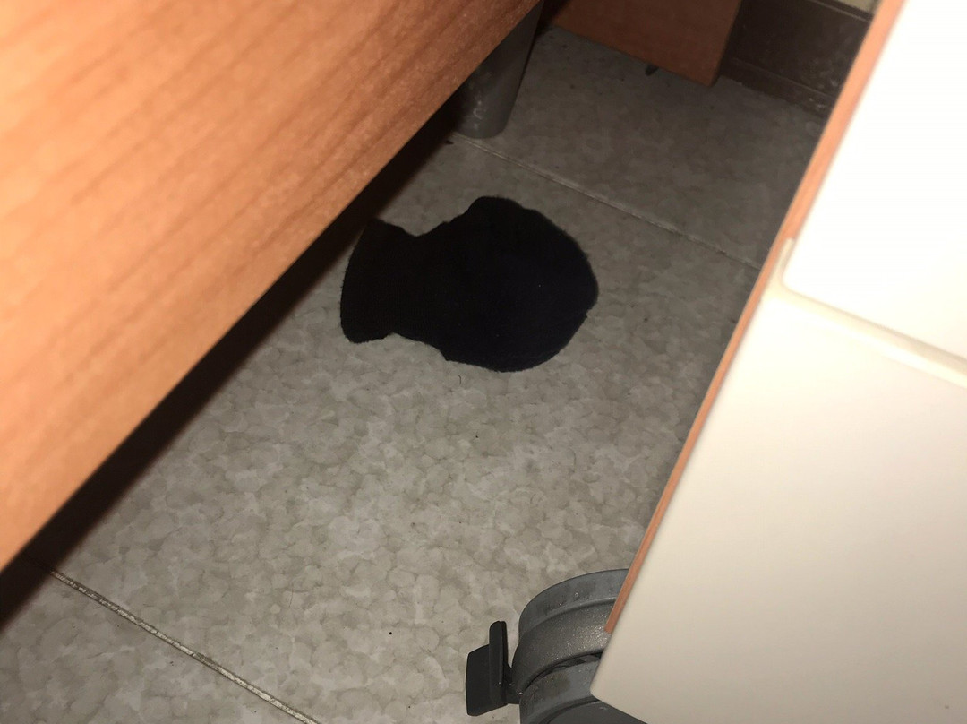 Destiny Hotel  Albergo Alla Pesa主图