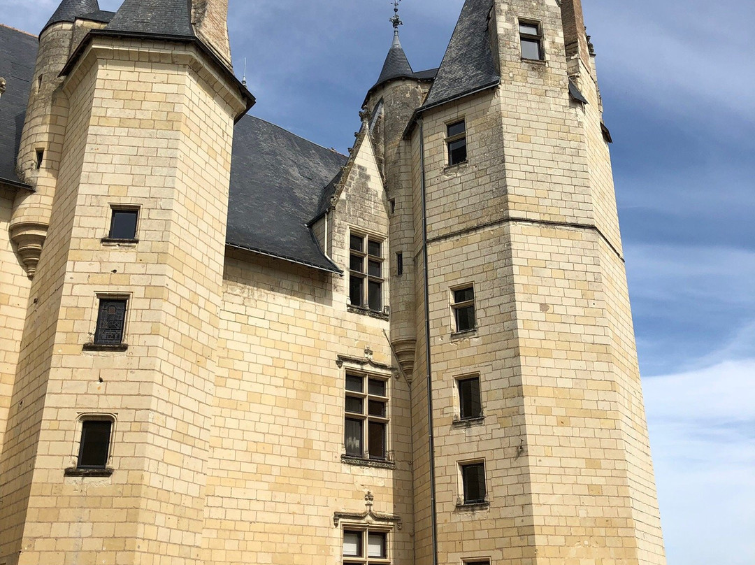 Chateau de Montreuil-Bellay景点图片