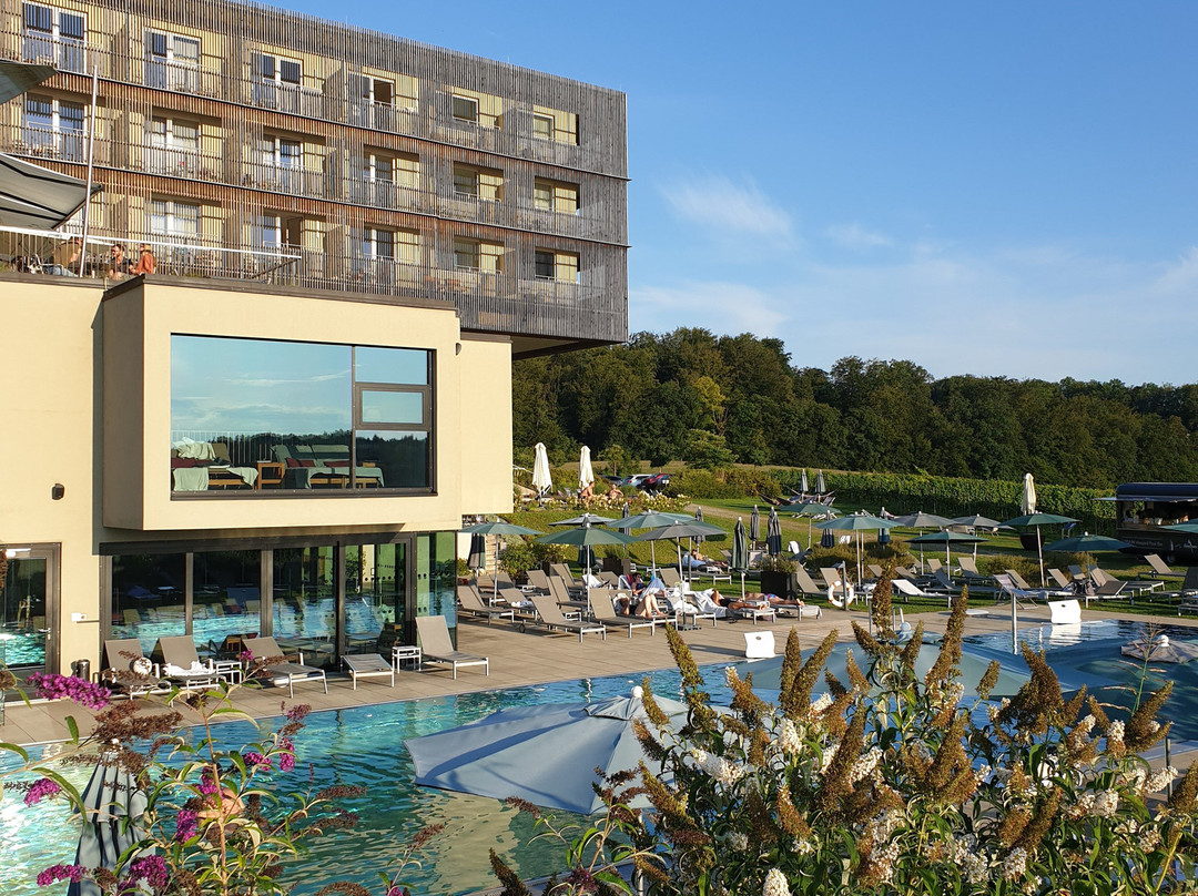 Loisium Wine & Spa Hotel Südsteiermark主图
