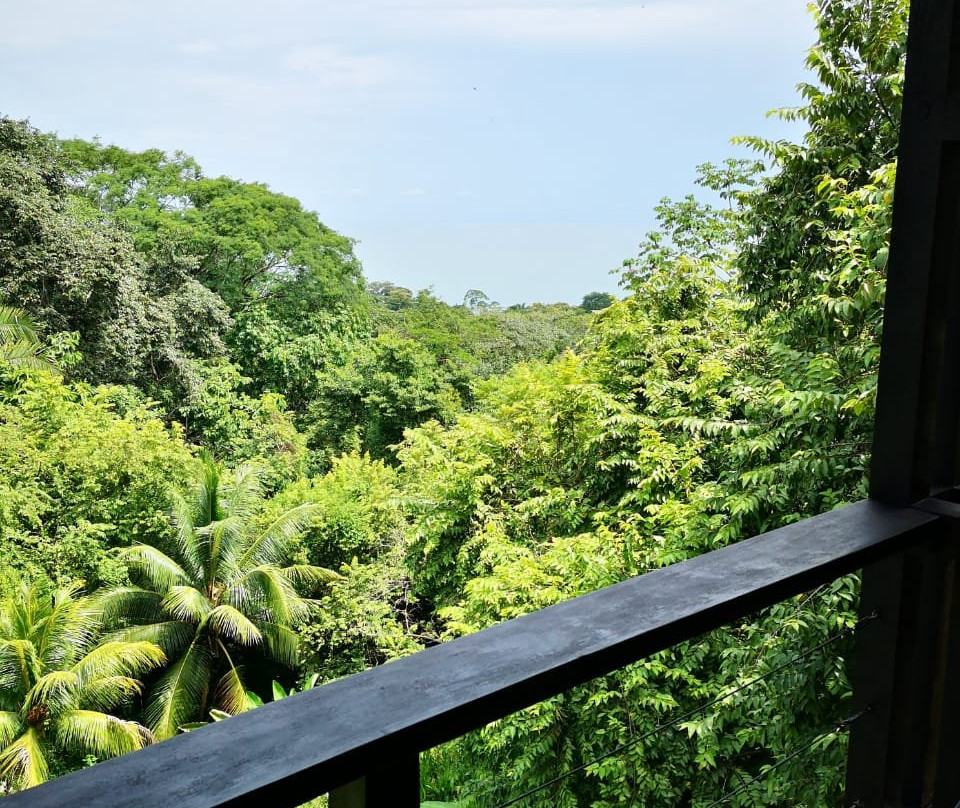 蒂基雨林别墅暨温泉旅馆主图