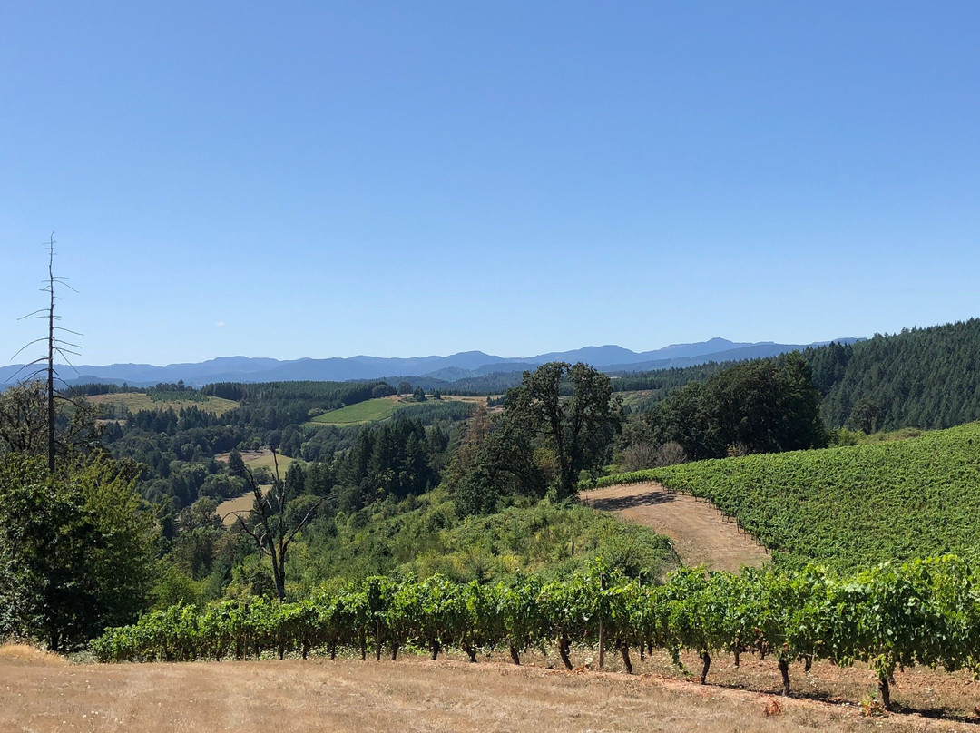 Elk Cove Vineyards-Gaston必去景点