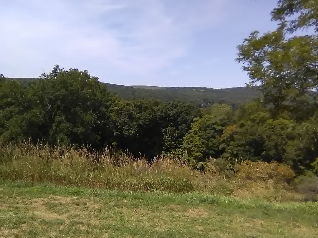 Franklin D. Roosevelt Presidential Library and Museum-海德公园必去景点