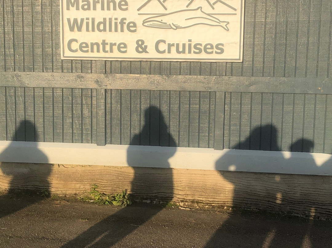 Gairloch Marine Life Centre & Cruises景点图片