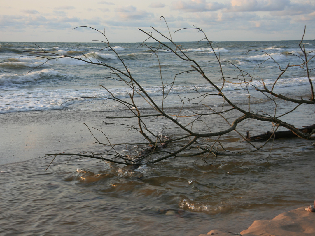 Liedags Guesthouse主图