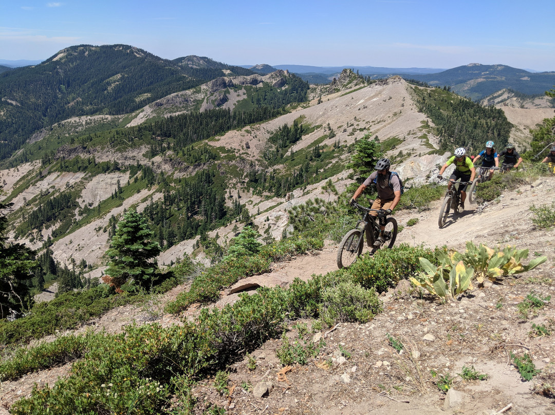 The Lure Resort主图