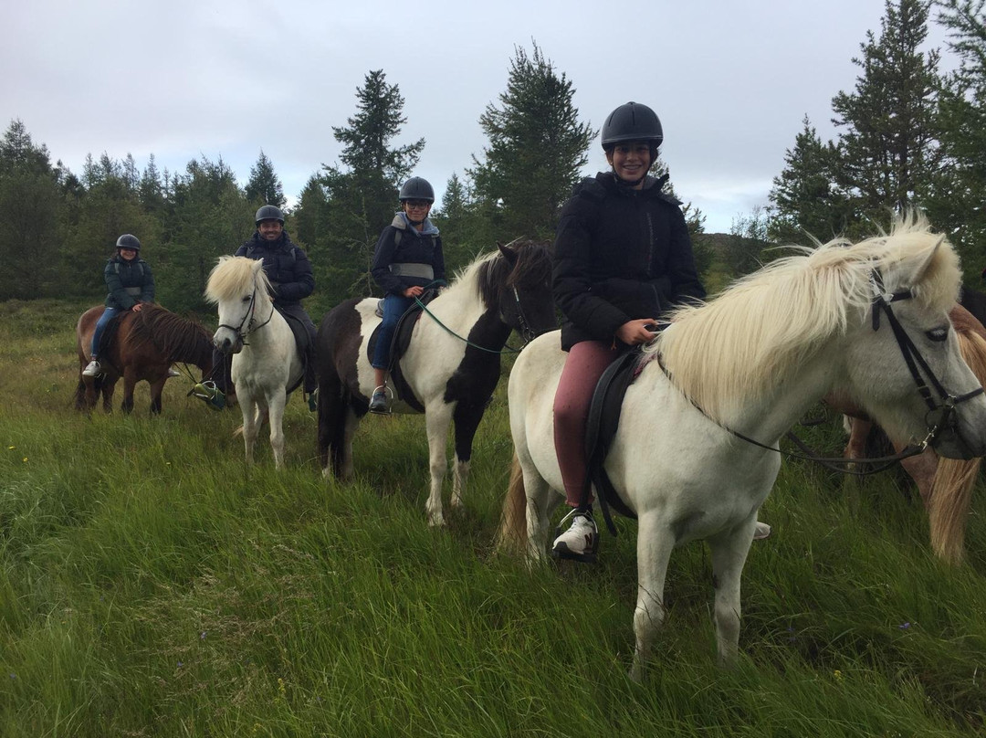 Galdrahestar Riding Tours-埃伊尔斯塔济必去景点