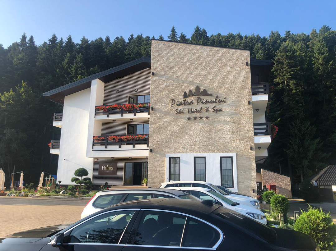 Piatra Pinului Ski Hotel & Spa主图