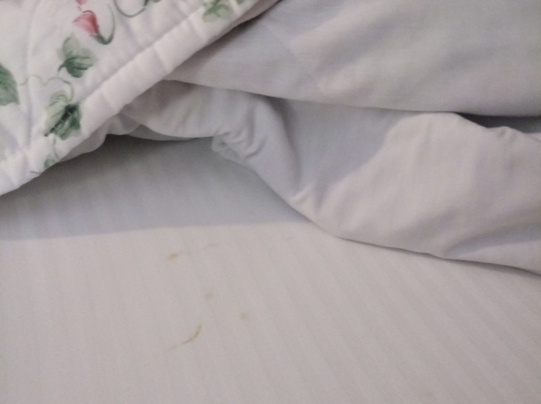 Travelodge by Wyndham Florence主图