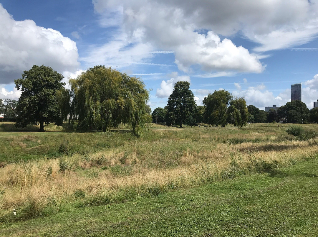 Wandle Park景点图片