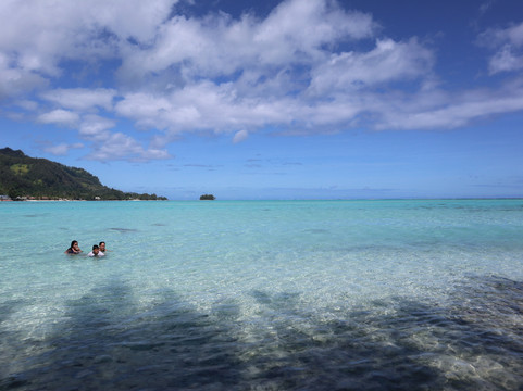 Albert's Transport-莫雷阿岛必去景点