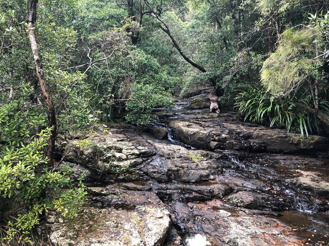 Tallanbana Picnic Area-春之泉必去景点