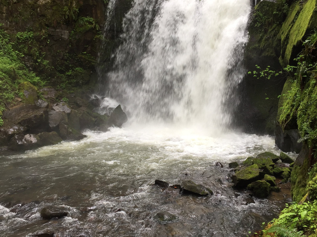 McDowell Creek Falls-Lebanon必去景点