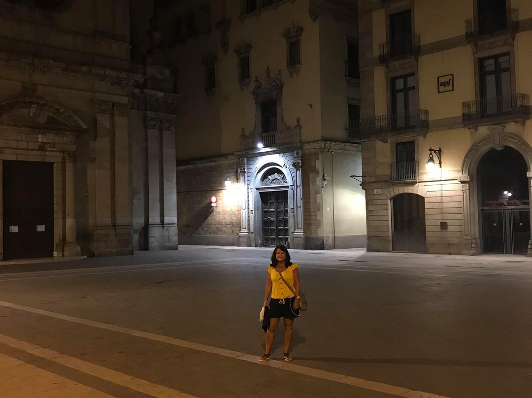Plaça de la Mercè景点图片