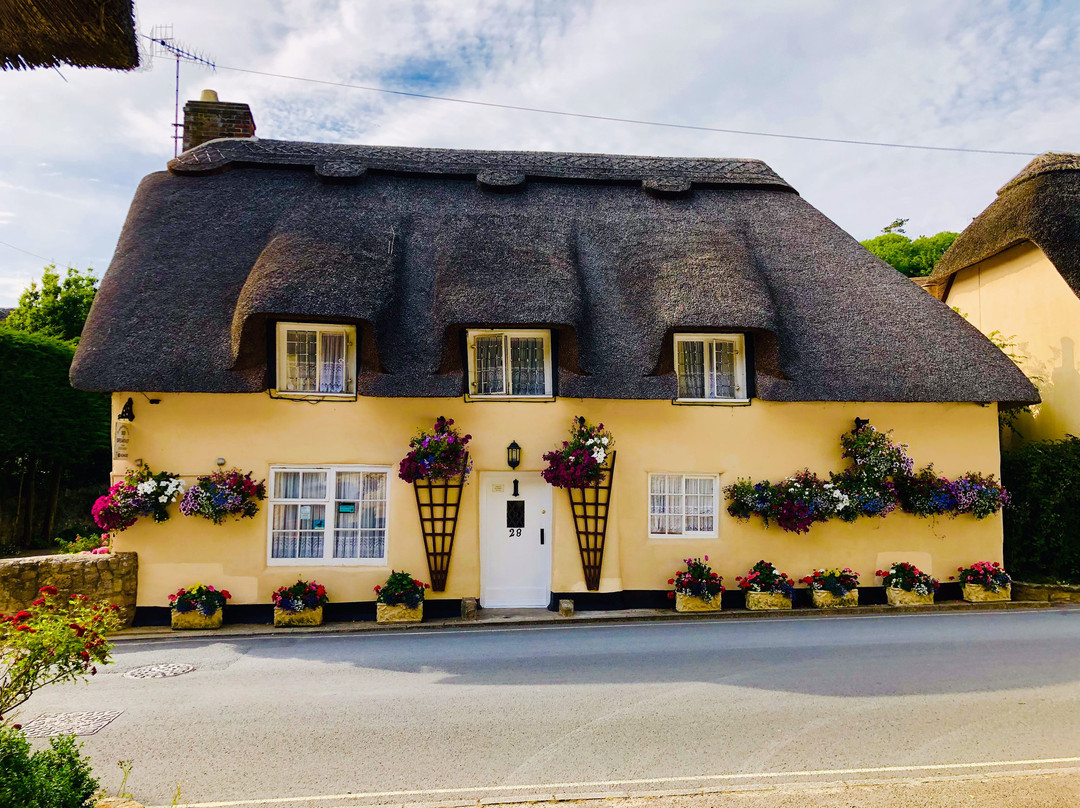 Tewkesbury Cottage主图