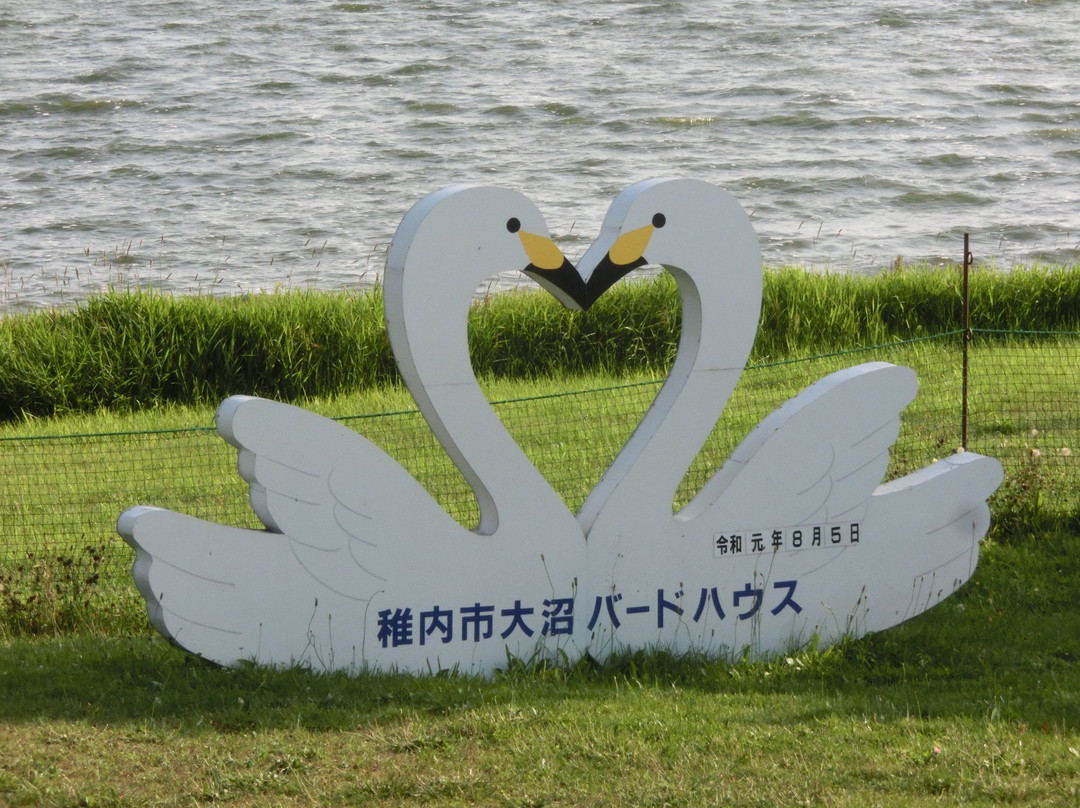 Onuma Bird House-稚内市必去景点